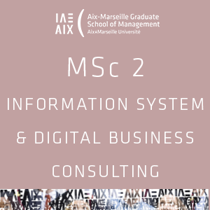 MSc 2 information system & digital business consulting